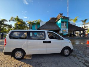 Hyundai Starex_5
